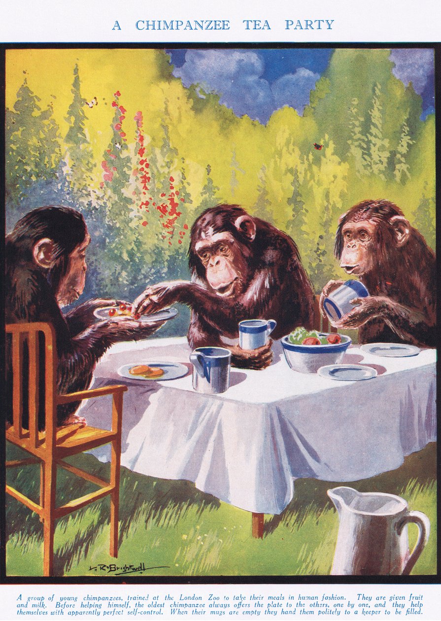 チンパンジーティーパーティー、「The Science of Life」のイラスト